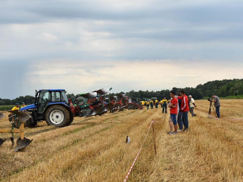 Natjecanje orača u Općini Veliki Grđevac