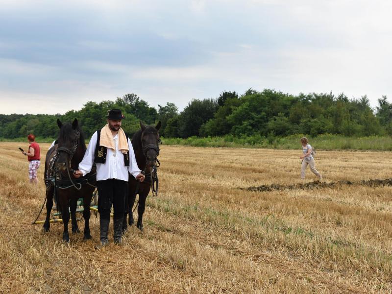 Natjecanje orača u Općini Veliki Grđevac