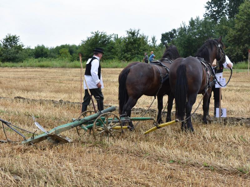 Natjecanje orača u Općini Veliki Grđevac
