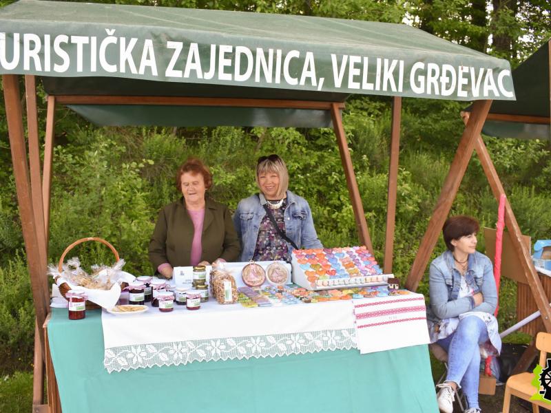 Sajam kreativnosti 2019.