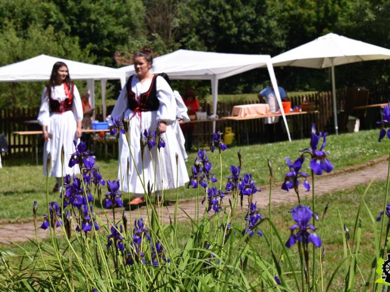 Sajam kreativnosti 2019.