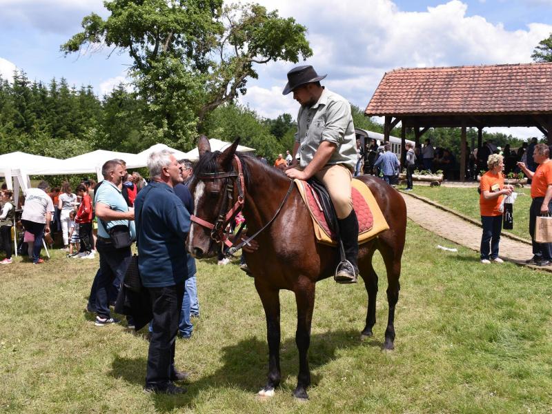 Sajam kreativnosti 2019.
