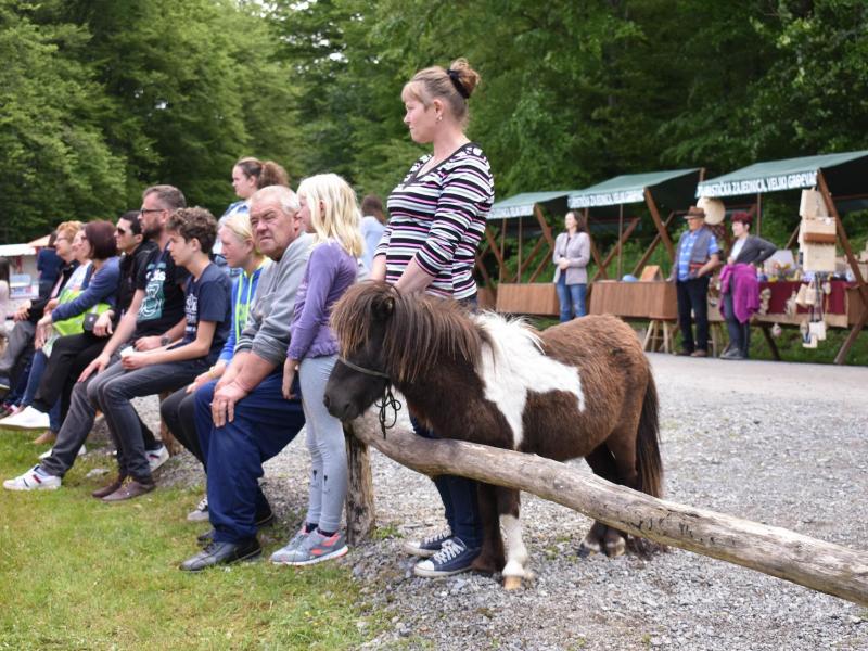 Sajam kreativnosti 2019.