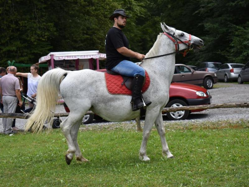 Sajam kreativnosti 2018.