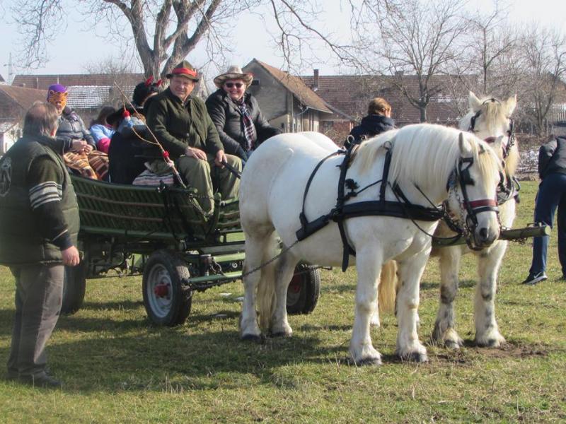 Maškare u Velikom Grđevcu