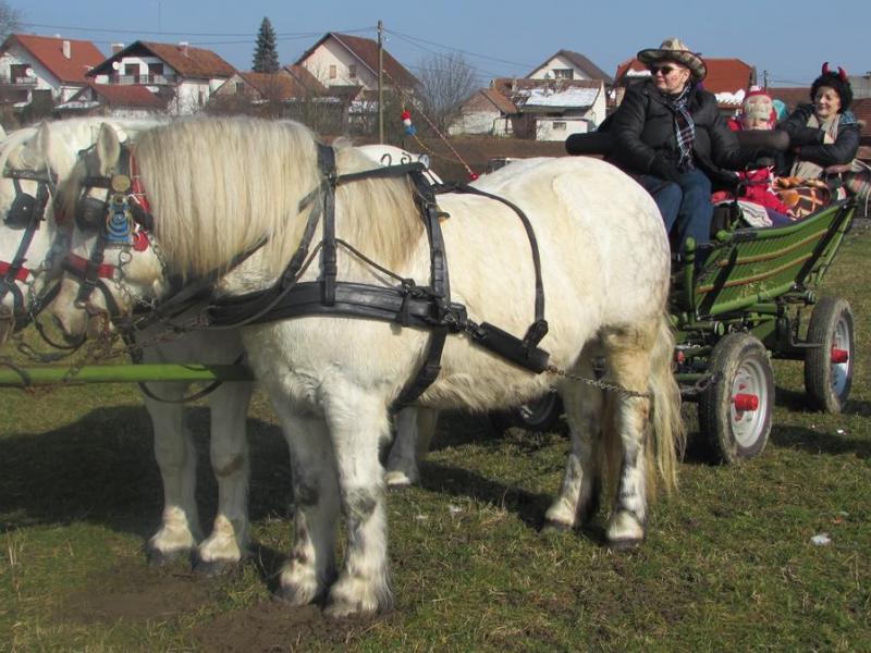 Maškare u Velikom Grđevcu