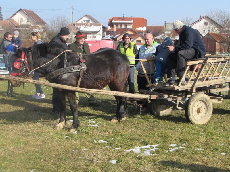 Maškare u Velikom Grđevcu