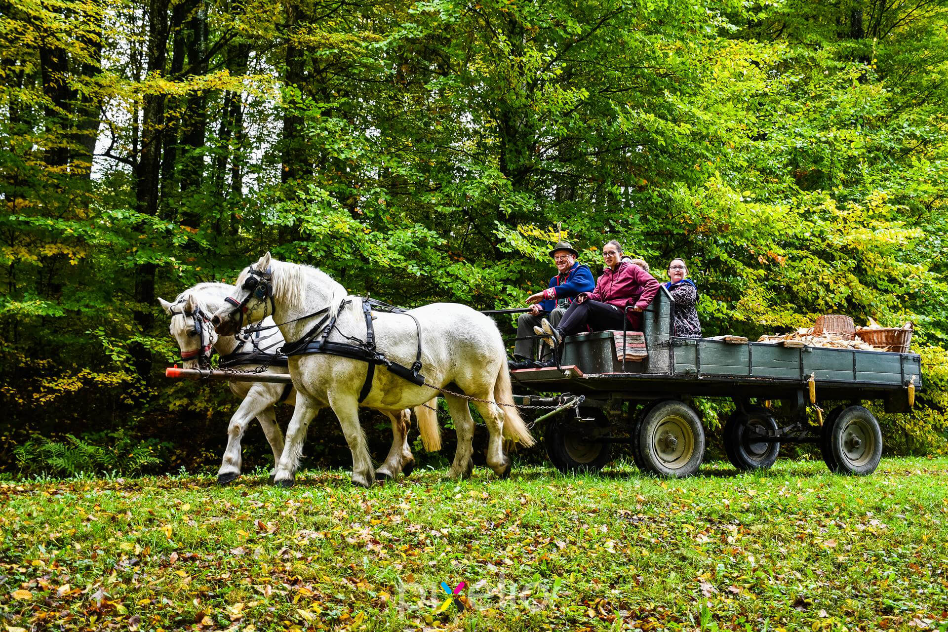 3. Grđevačka komušijada 3. Grđevačka komušijada